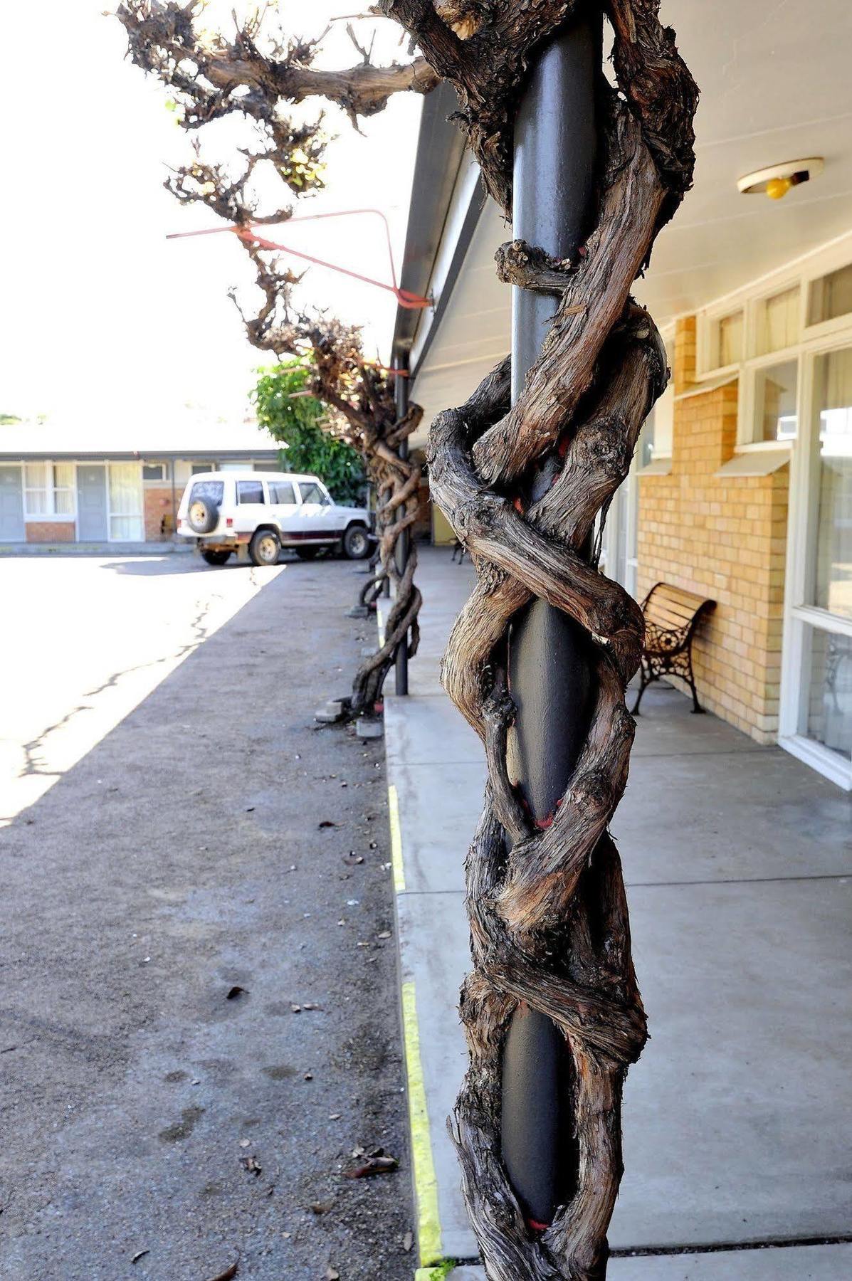 Travelway Motel Port Pirie Zewnętrze zdjęcie